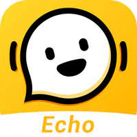 Echo chat logo